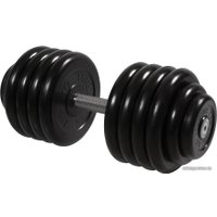 Гантель MB Barbell Профи 48.5 кг (вращающаяся ручка)