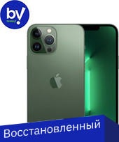 iPhone 13 Pro Max 256GB Восстановленный by Breezy, грейд C (альпийский зеленый)