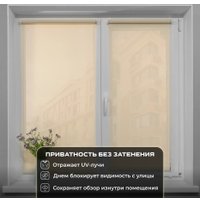Рулонные шторы Sundays Home Санскрин SS 1300-02 43х215 (бежевый)