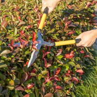 Секатор Deli EDL2806