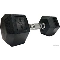 Гантель Starfit DB-301 10 кг