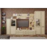 Горка Лером Карина №5 гостиная (ясень асахи) в Лиде