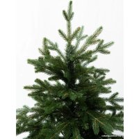 Ель National Tree Company Форест Фор-130 (130 см)