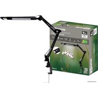 Настольная лампа TDM Electric SQ0337-0160