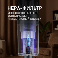 Пылесос Weissgauff V17 BLDC 830 Graphite StormBlast Turbo