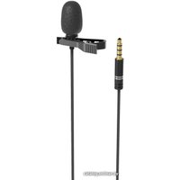 Проводной микрофон Ritmix RCM-110