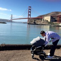 Универсальная коляска Bugaboo Bee 3