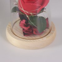 Настольная лампа Risalux Колба Роза 10539553 (красный) в Могилеве