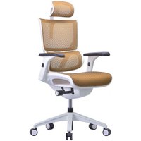 Офисное кресло Ergostyle Vision VIM01-W (оранжевый)