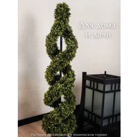 Искусственное растение Merry Bear Home Decor Самшит спиралевидный в горшке AQ10115