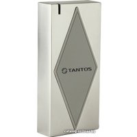 Считыватель Tantos TS-RDR-EHMF Metal