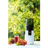 Соковыжималка Hurom H70 Easy (белый)