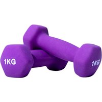 Гантель Protrain DB306-1 1кг (фиолетовый)