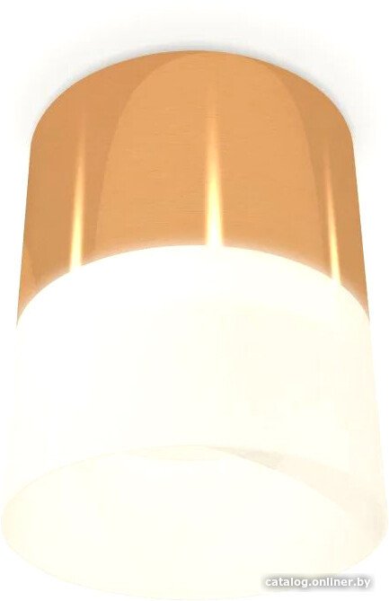 Точечный светильник Ambrella light Techno spot XS8121011 PYG/FR