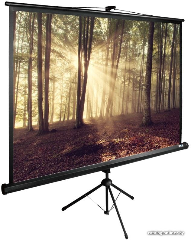 Проекционный экран CACTUS TriExpert 135x180 CS-PSTE-180X135-BK