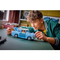 Конструктор LEGO Harry Potter 76470 Летающий Форд «Англия»