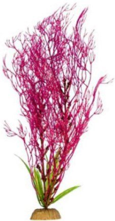 

Искусственное растение Barbus Горгонария Plant 031/30 (сиреневый)