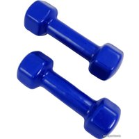 Набор гантелей Protrain TA-2103-1.5 2x1.5 кг