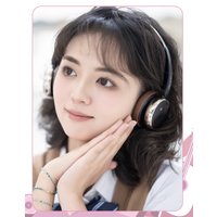 Наушники Snowsky Anytime (черный/коричневый) в Витебске