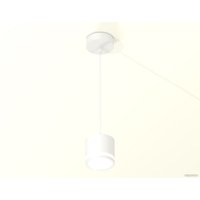 Подвесная люстра Ambrella light Techno spot XP8110020 SWH/FR