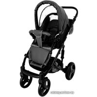 Универсальная коляска Ray Corsa Ecco (2 в 1, 30)