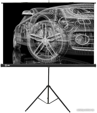 Проекционный экран CACTUS Triscreen CS-PST-124x221