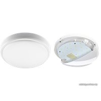 Светильник-тарелка JAZZway 5011137