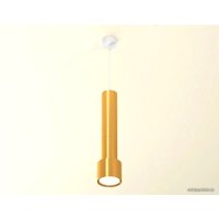 Подвесная люстра Ambrella light XP XP8121001