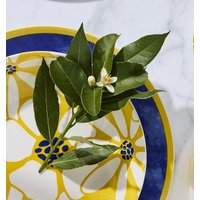 Столовый сервиз Tognana Madison Marisol MC07018M315