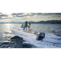 Лодочный мотор Yamaha F60FETL