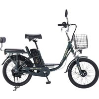 Электровелосипед MyWay Truck 1.0 500 24 (15, темно-зеленый)