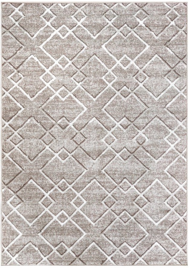 

Ковер для жилой комнаты Dinarsu Epic 22093500420-P03 (1.6x2.3)