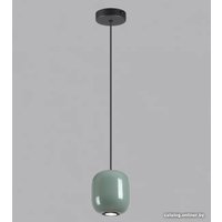 Подвесная люстра Odeon Light Ovali 5053/1C