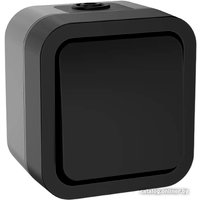 Выключатель IEK Tors TS-V14-0-10-55-K53