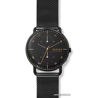 Наручные часы Skagen SKW6538