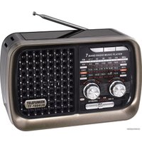 Радиоприемник TELEFUNKEN TF-1694UB