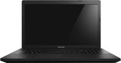 Lenovo G700 (59391958)