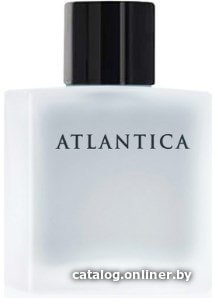 Туалетная вода Dilis Parfum Atlantica Silver Moon EdT 100 мл