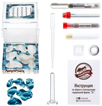 Формикарий AntsMinsk Стартовый комплект XL Rain
