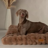 Лежак Scruffs Alpine 829788 (коричневый)