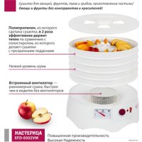 Сушилка для овощей и фруктов Мастерица EFD-0502VM (5 поддонов и 1 поддон для пастилы)
