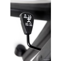 SiestaDesign Classic Black