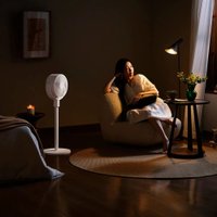 Вентилятор Xiaomi MiJia Circulating Fan Dual-use BPLDS08DM (китайская версия)