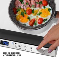 Настольная плита Endever Skyline IP-69