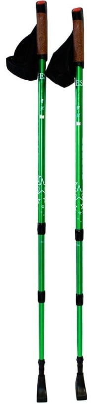 

Палки для скандинавской ходьбы Gess Classic Walker GESS-915