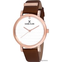 Наручные часы Daniel Klein DK12054-6