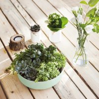 Салатник Luminarc Diwali Paradise Green V5846