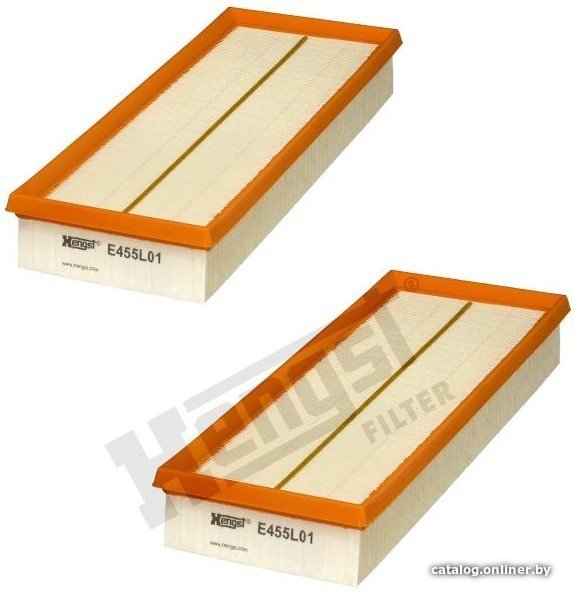 Воздушный фильтр Hengst E455L01-2 (2 шт)