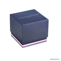 Наручные часы Tommy Hilfiger Owen 1791965