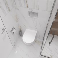 Унитаз подвесной Lauter Vortex 2110830VP